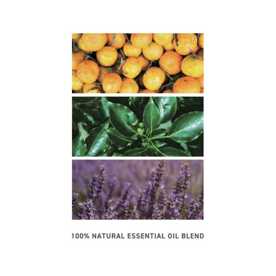 m_f_n オールインワンモイストバランシングセラム RN – m_f_n online m_f_n オールインワンモイストバランシングセラム RN – m_f_n online